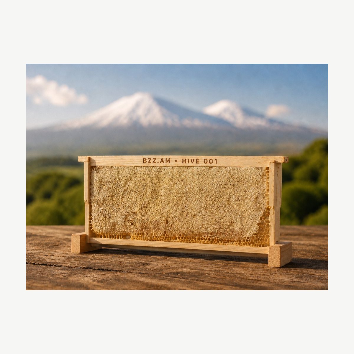 Comb Honey 1 kg
