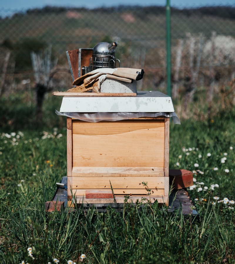 BZZ Standard Hive